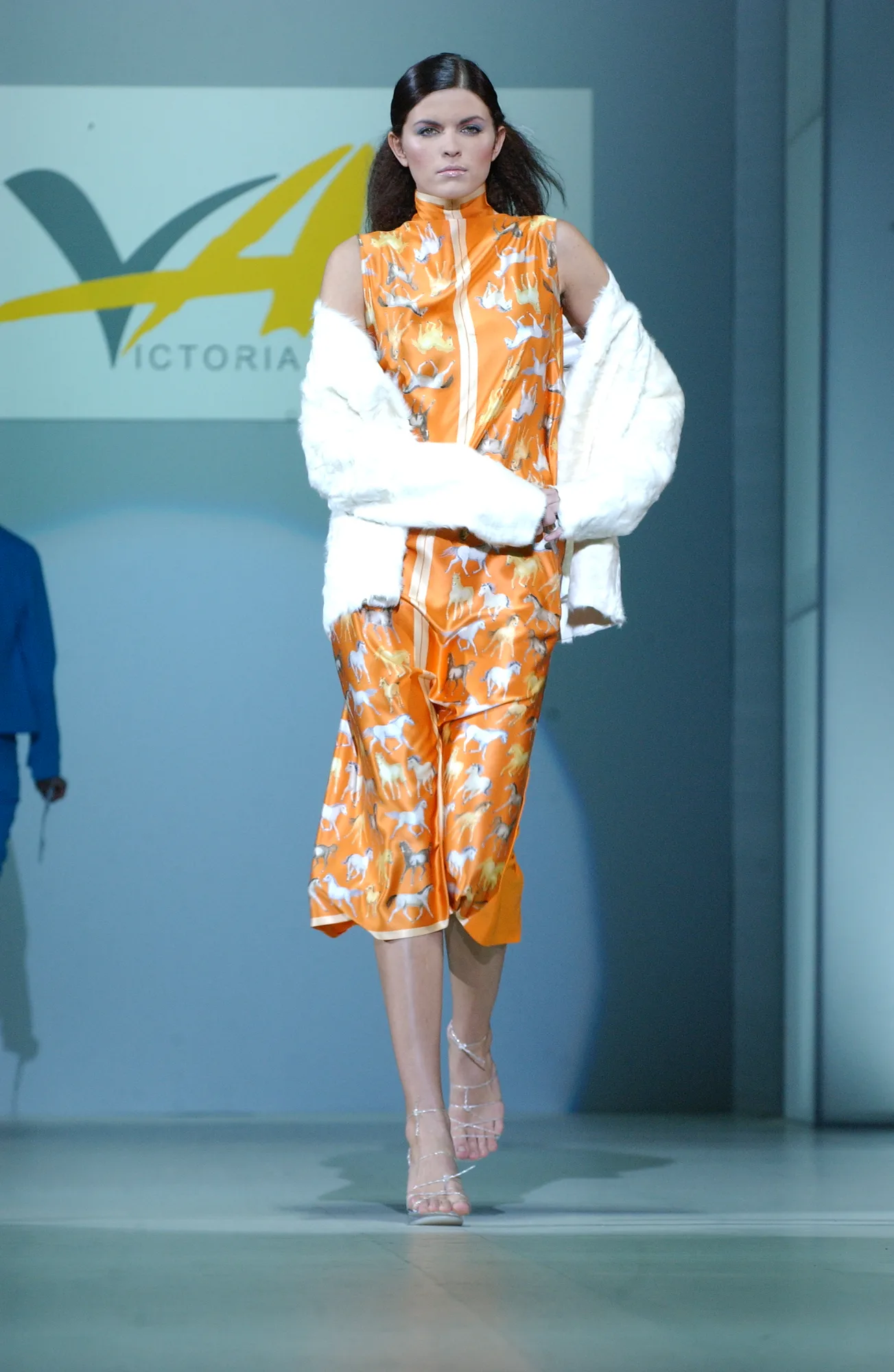 Коллекция 2003 Южный полюс 2003, Victoria Andreyanova, образ 6